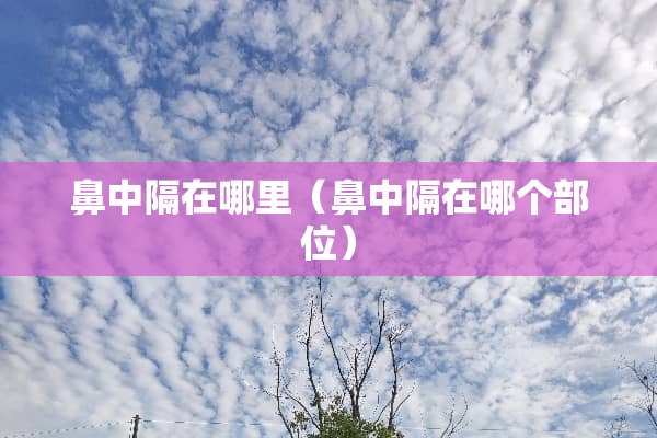 鼻中隔在哪里（鼻中隔在哪个部位）