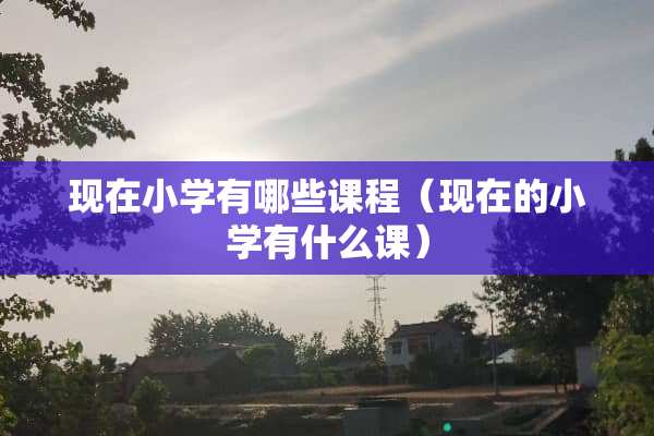 现在小学有哪些课程（现在的小学有什么课）