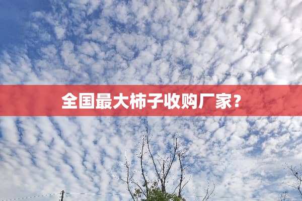 全国最大柿子收购厂家？
