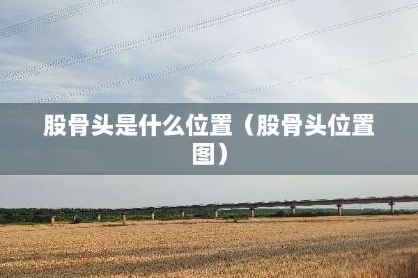 股骨头是什么位置（股骨头位置图）