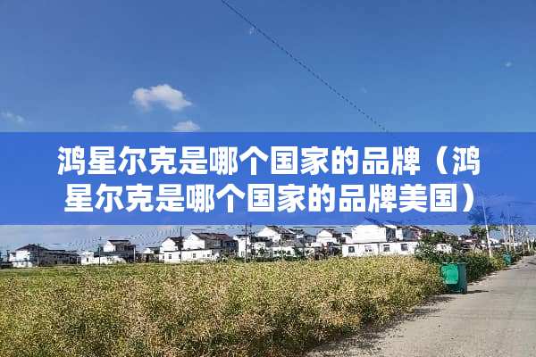 鸿星尔克是哪个国家的品牌（鸿星尔克是哪个国家的品牌美国）