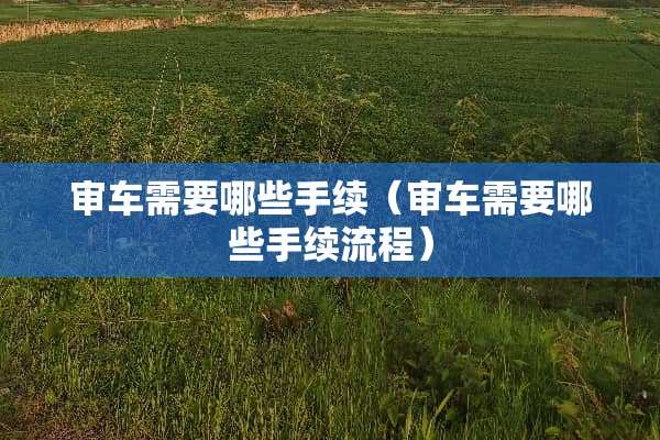 审车需要哪些手续（审车需要哪些手续流程）