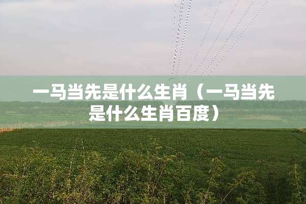 一马当先是什么生肖（一马当先是什么生肖百度）