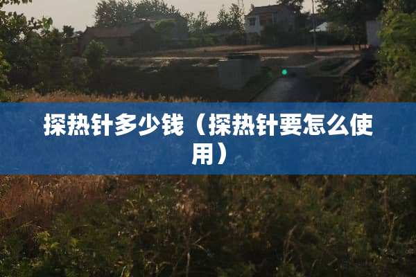 探热针多少钱（探热针要怎么使用）