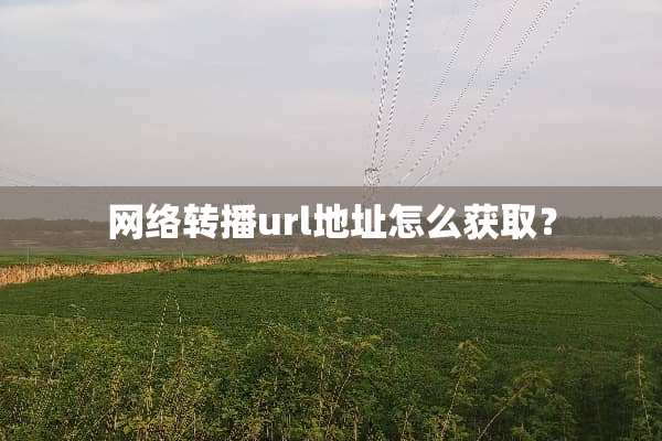 网络转播url地址怎么获取？