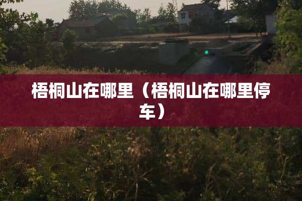 梧桐山在哪里（梧桐山在哪里停车）