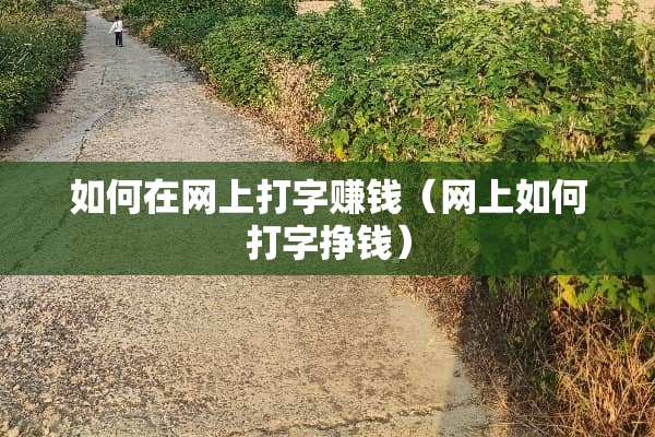 如何在网上打字赚钱（网上如何打字挣钱）