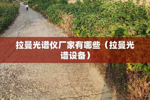 拉曼光谱仪厂家有哪些（拉曼光谱设备）