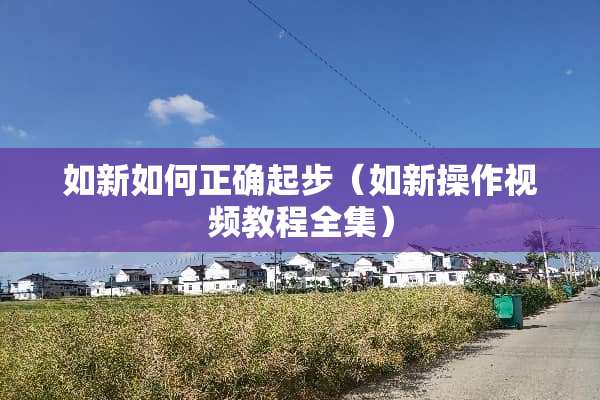 如新如何正确起步（如新操作视频教程全集）