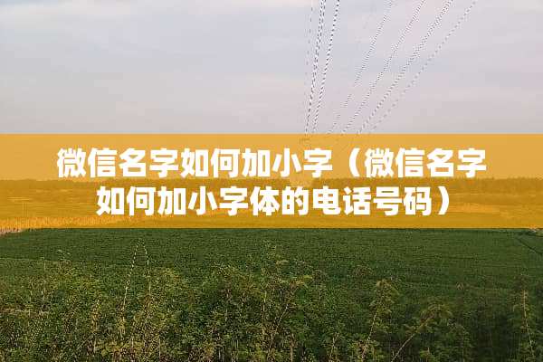 微信名字如何加小字（微信名字如何加小字体的电话号码）