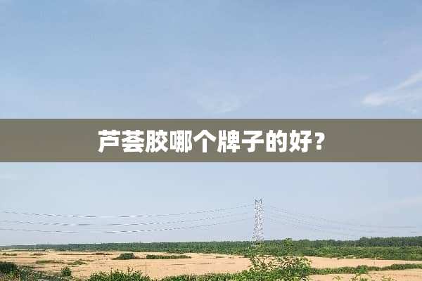 芦荟胶哪个牌子的好？