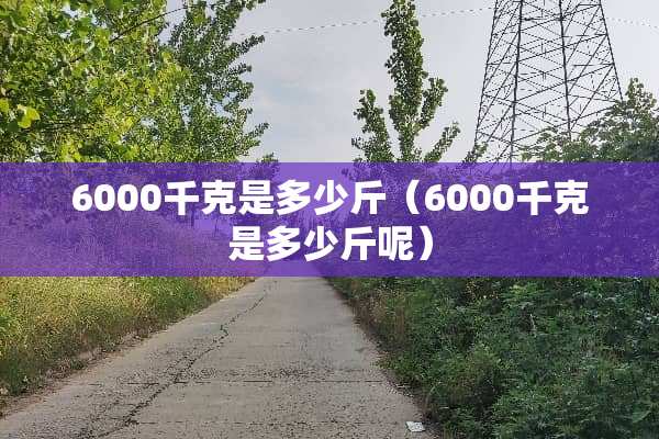 6000千克是多少斤（6000千克是多少斤呢）