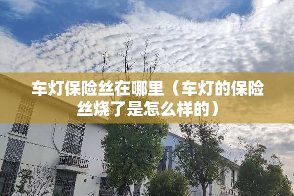 车灯保险丝在哪里（车灯的保险丝烧了是怎么样的）