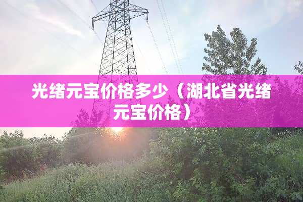 光绪元宝价格多少（湖北省光绪元宝价格）