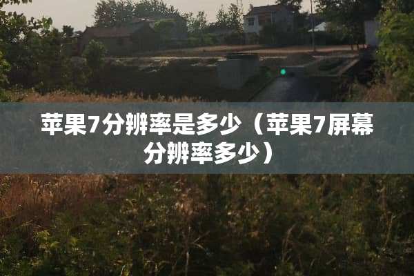 苹果7分辨率是多少（苹果7屏幕分辨率多少）