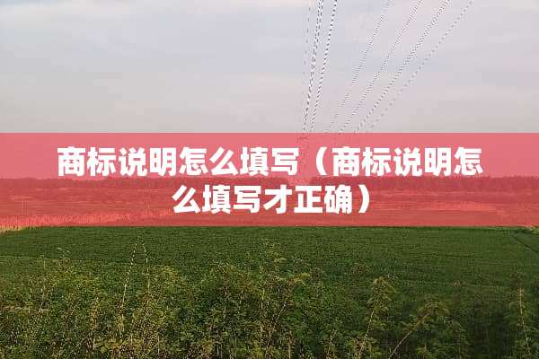 商标说明怎么填写（商标说明怎么填写才正确）