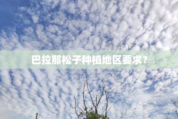 巴拉那松子种植地区要求？