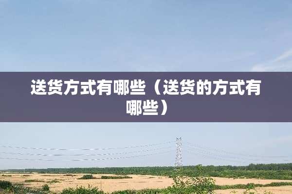送货方式有哪些（送货的方式有哪些）