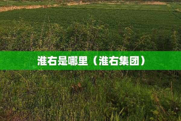 淮右是哪里（淮右集团）