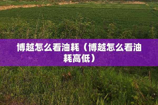 博越怎么看油耗（博越怎么看油耗高低）