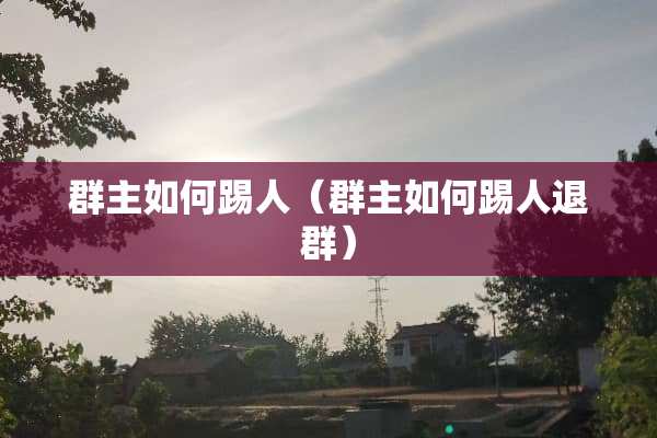 群主如何踢人（群主如何踢人退群）