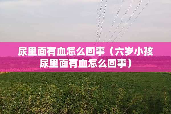 尿里面有血怎么回事（六岁小孩尿里面有血怎么回事）