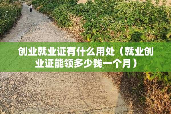 创业就业证有什么用处（就业创业证能领多少钱一个月）