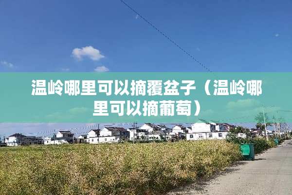 温岭哪里可以摘覆盆子（温岭哪里可以摘葡萄）