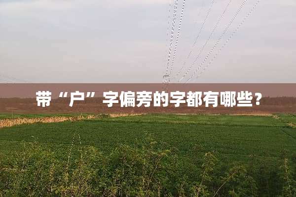 带“户”字偏旁的字都有哪些？