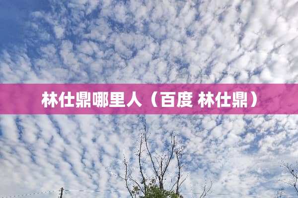 林仕鼎哪里人（百度 林仕鼎）