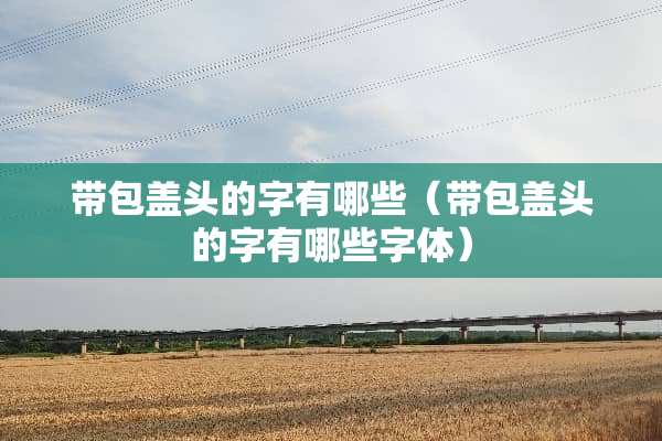 带包盖头的字有哪些（带包盖头的字有哪些字体）