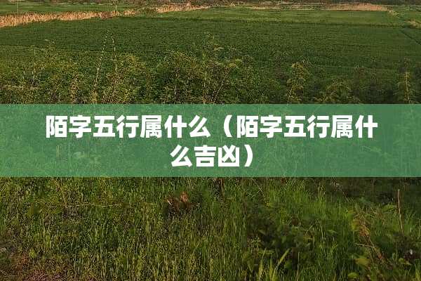 陌字五行属什么（陌字五行属什么吉凶）
