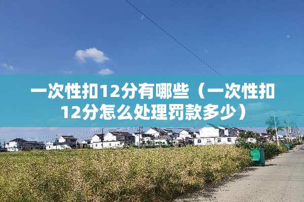 一次性扣12分有哪些（一次性扣12分怎么处理罚款多少）