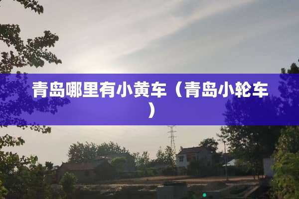 青岛哪里有小黄车（青岛小轮车）