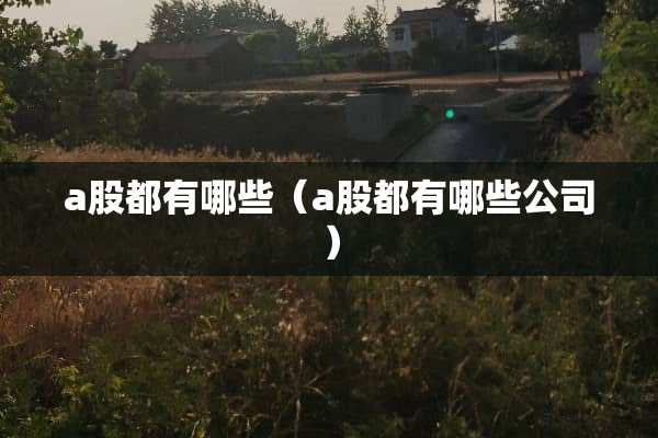a股都有哪些（a股都有哪些公司）