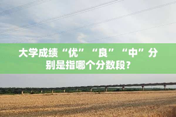 大学成绩“优”“良”“中”分别是指哪个分数段？