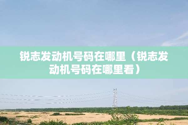 锐志发动机号码在哪里（锐志发动机号码在哪里看）