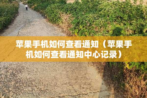 苹果手机如何查看通知（苹果手机如何查看通知中心记录）