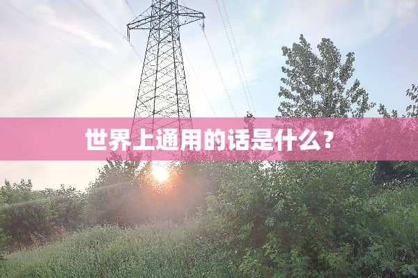 世界上通用的话是什么？
