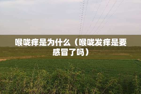 喉咙痒是为什么（喉咙发痒是要感冒了吗）