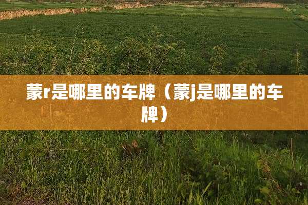 蒙r是哪里的车牌（蒙j是哪里的车牌）