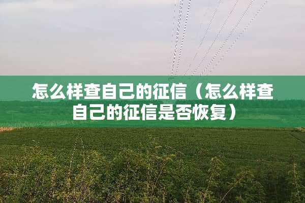 怎么样查自己的征信（怎么样查自己的征信是否恢复）