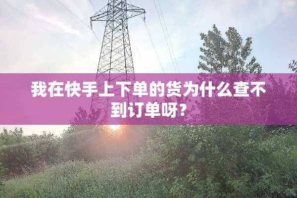 我在快手上下单的货为什么查不到订单呀？