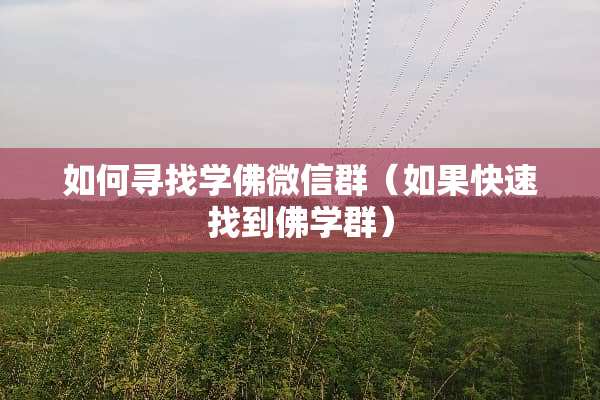 如何寻找学佛微信群（如果快速找到佛学群）