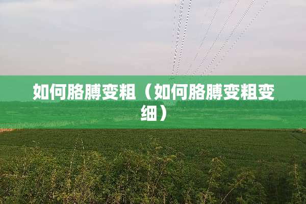 如何胳膊变粗（如何胳膊变粗变细）