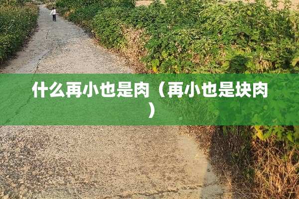 什么再小也是肉（再小也是块肉）