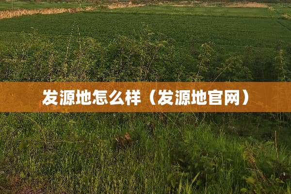 发源地怎么样（发源地官网）
