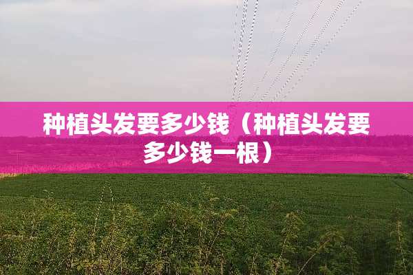 种植头发要多少钱（种植头发要多少钱一根）