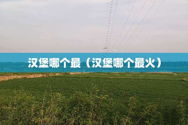 汉堡哪个最（汉堡哪个最火）