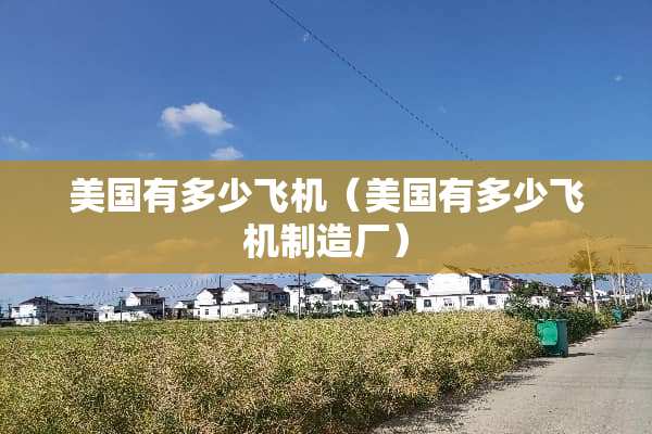 美国有多少飞机（美国有多少飞机制造厂）